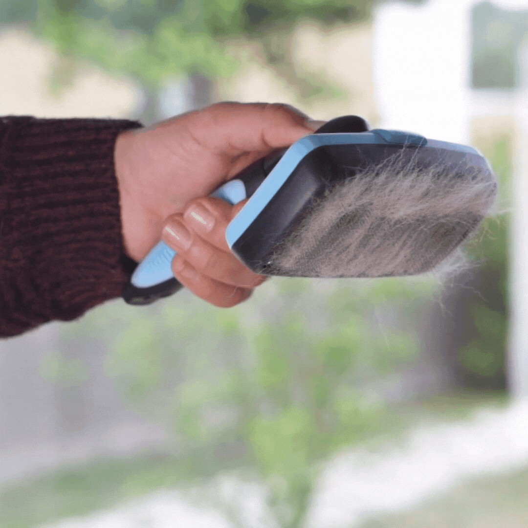 La soluzione per rimuovere i peli di cane dai vestiti – InnovaGoods Store, image size:1080x1080