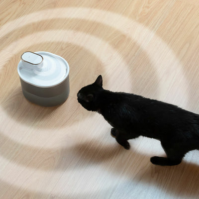 Fonte para Gatos Recarregável com Sensor Refopet InnovaGoods