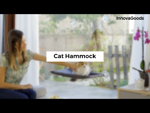 Rede Suspensa para Gatos Catlax InnovaGoods