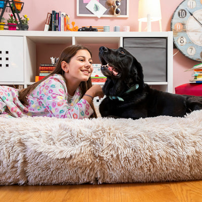 Lit de Chien pour Humains | Human Dog Bed XXL InnovaGoods Beige