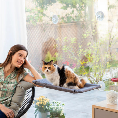 V3H0AEA6FE014066B94259ECECEE533B24AR6452254P8