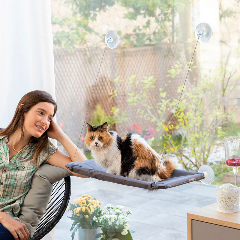 V3H0AEA6FE014066B94259ECECEE533B24AR6452254P8