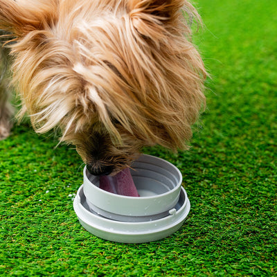 V4H0600DF148637028FD7DAA651E0C0F927R6452047P8