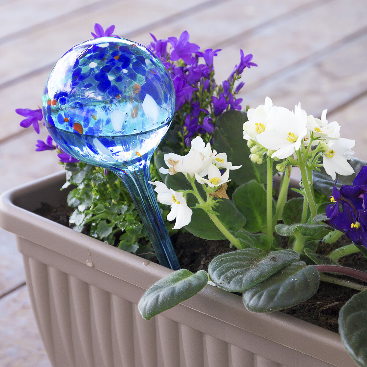 aqua plant watering globes Automatic Watering Globes Aqua·Loon InnovaGoods 2 Units – InnovaGoods Store
