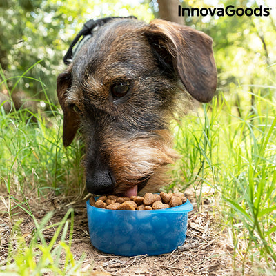 Bouteille avec Distributeur d'Eau et d'Aliments pour Animaux 2 en 1 Pettap InnovaGoods