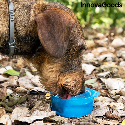 2-in-1 fles met water en voederbakken voor huisdieren Pettap InnovaGoods