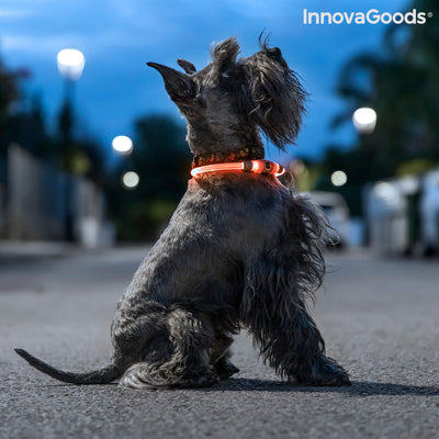 LED nyaköv háziállatoknak Petlux InnovaGoods