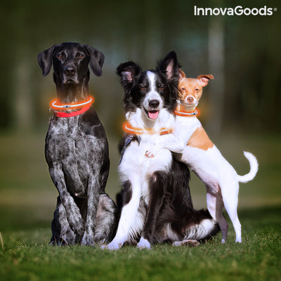 Collar LED para Mascotas Petlux InnovaGoods