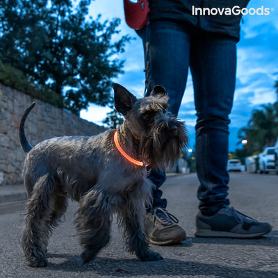 Coleira LED para Animais de Estimação Petlux InnovaGoods