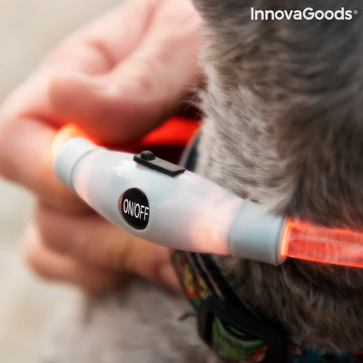 Collar LED para Mascotas Petlux InnovaGoods