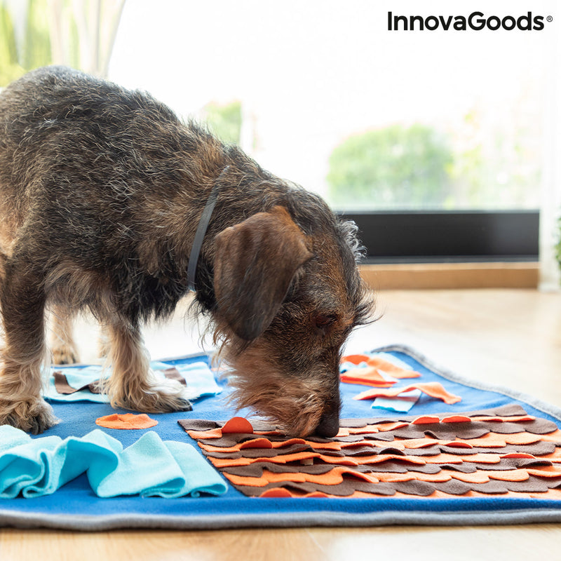 Mora Pets : cette entreprise a inventé un tapis autochauffant pour vos  animaux de compagnie - NeozOne