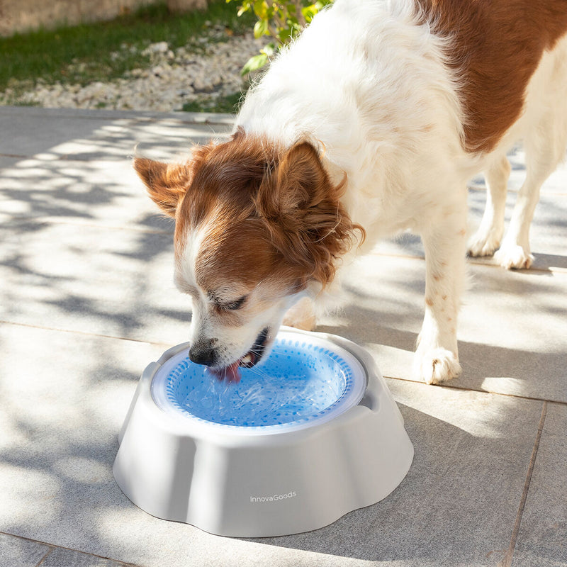 Bebedouro Refrescante para Animais de Estimação Freshty InnovaGoods