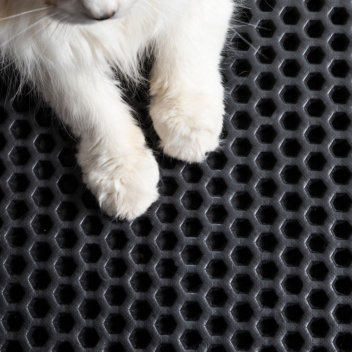 Tappetino antiscivolo Black Cat, con zigrinature/applicazioni in rilievo