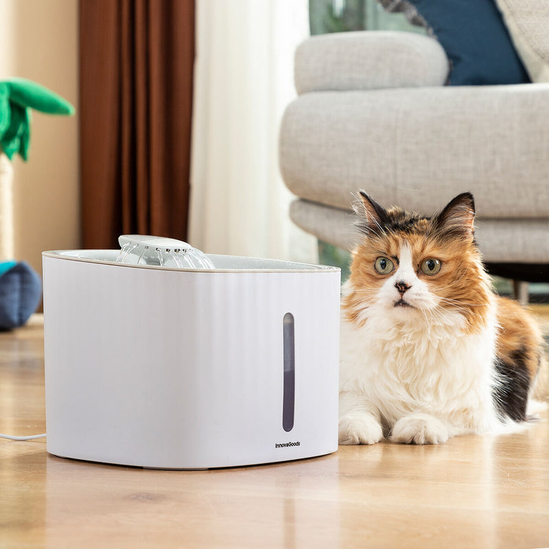Fontana per Animali Domestici Drinkatt InnovaGoods